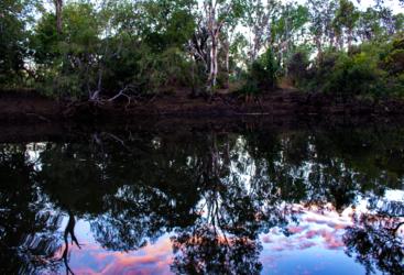 Cape York 4WD Safari Tours - Camping By a Billabong in Queensland 