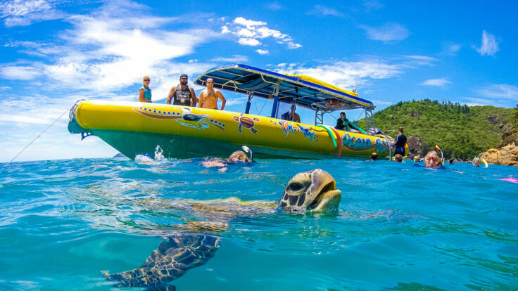 Whitsundays Great Barrier Reef Tour | Snorkel with Sea Turtles