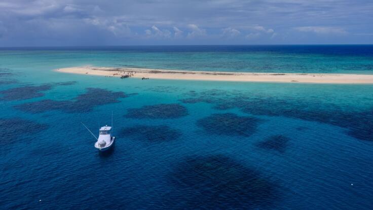 Michaelmas Cay Tours - Cairns Reef Trips - Aerial View of Michaelmas Cay