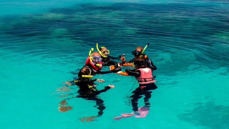 Michaelmas Cay Tours - Great Barrier Reef Tour Cairns - Learn To Snorkel in Safety