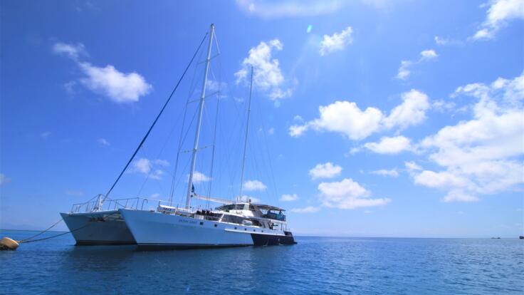 Sailing Trips from Cairns to Michaelmas Cay on the Great Barrier Reef 