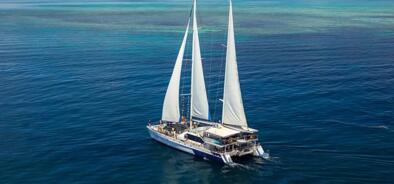 Michaelmas Cay Tours - Cairns Reef Tours - Aerial View of the Great Barrier Reef