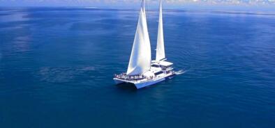Michaelmas Cay Tours - Sailing Tours Cairns
