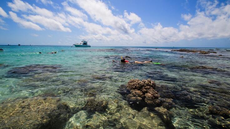 Michaelmas Reef Trips - Cairns Snorkel Tours 