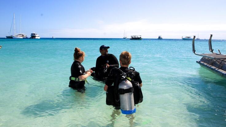 Michaelmas Cay Reef trips - Introductory scuba dives