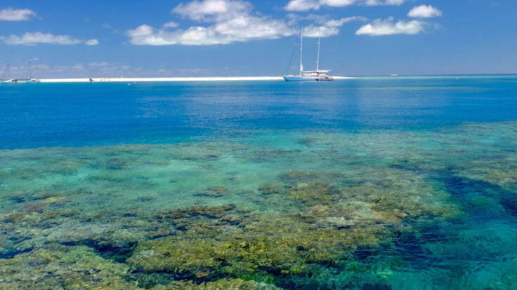 Great Barrier Reef Tours Cairns - Michaelmas Cay Tours