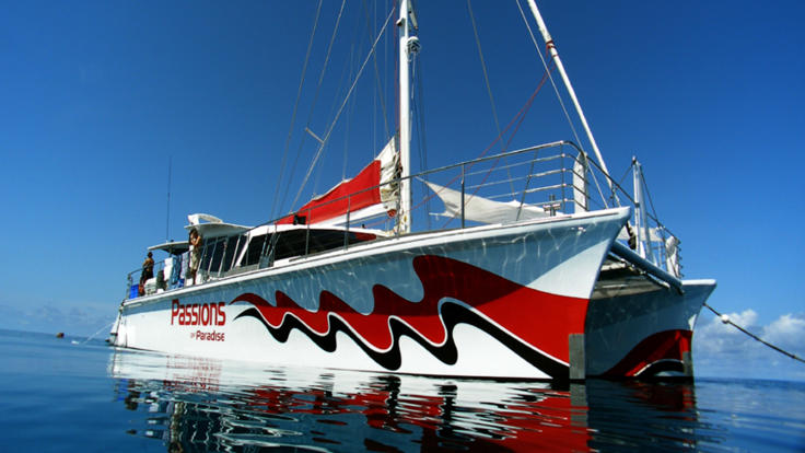 Great Barrier Reef tour Cairns - New boat, dive & snorkel   