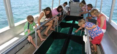 Great Barrier Reef Tours - Glass Bottom Boat