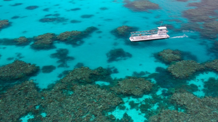 Many Great Barrier Reef tours also include semi-submersible submarine tours