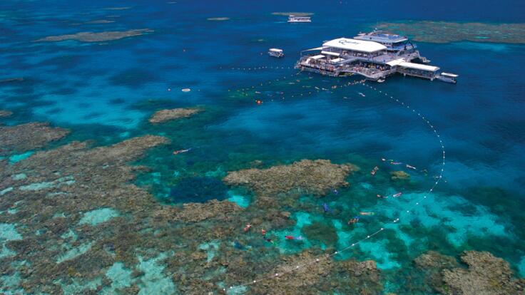 Great Barrier Reef Tours Port Douglas - Reef Trip Pontoon