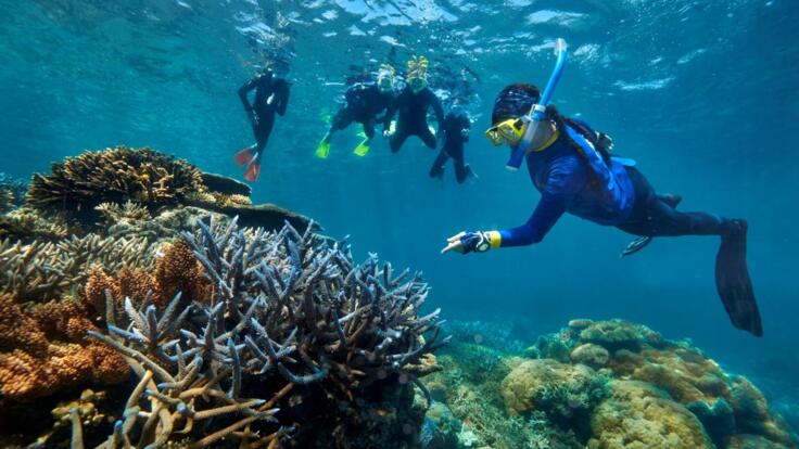 Great Barrier Reef Tours Port Douglas | Snorkel & Dive Tours
