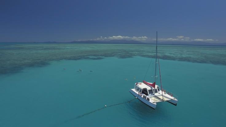Reef Trips in Cairns Snorkel & Dive Tour -  Aerial view of catamaran at anchor 