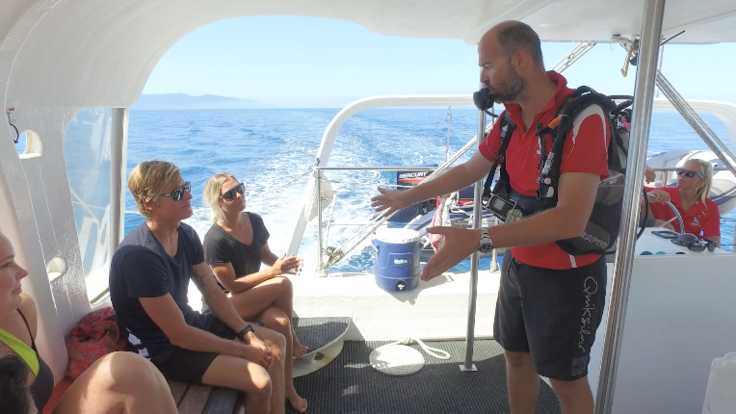 Reef Trips in Cairns - Book An Introductory Scuba Dive 