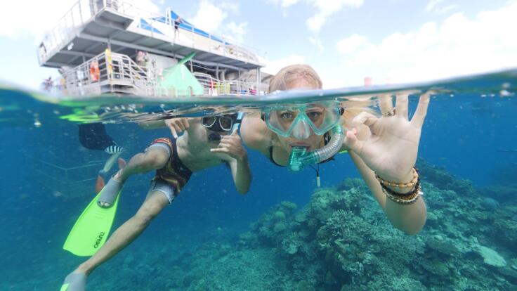 Snorkel Tours from Cairns - Cairns Pontoon Reef Trips