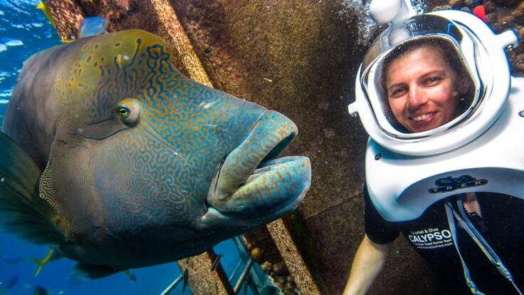 Cairns Reef Trips- Helmet Diving
