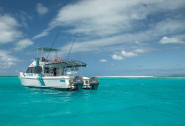 Cairns Boat Charter | Private Snorkel Charter