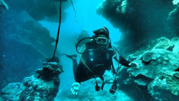 Scuba diver at Holmes Reef on the Great Barrier Reef looking for sharks