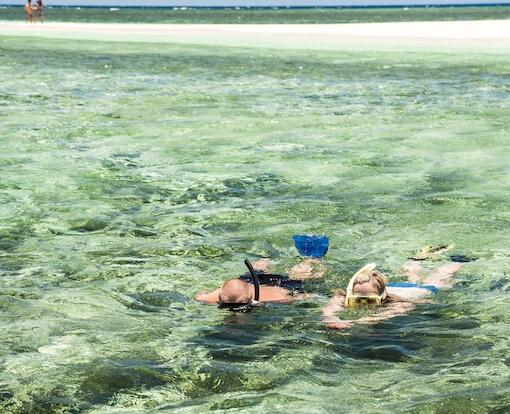 Port Douglas Snorkel Tours - Luxury Reef Trip to Coral Cay - Couple Snorkelling