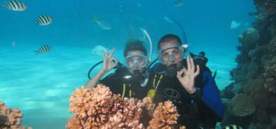 Scuba dive Cairns - Great Barrier Reef Tours 