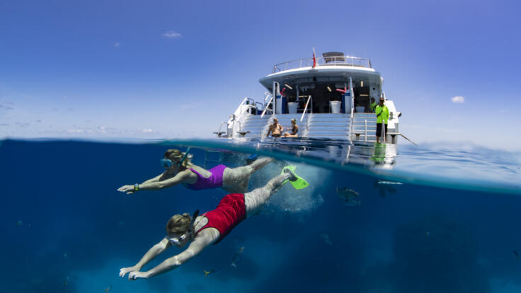Snorkelling Cairns - Great Barrier Reef Tours