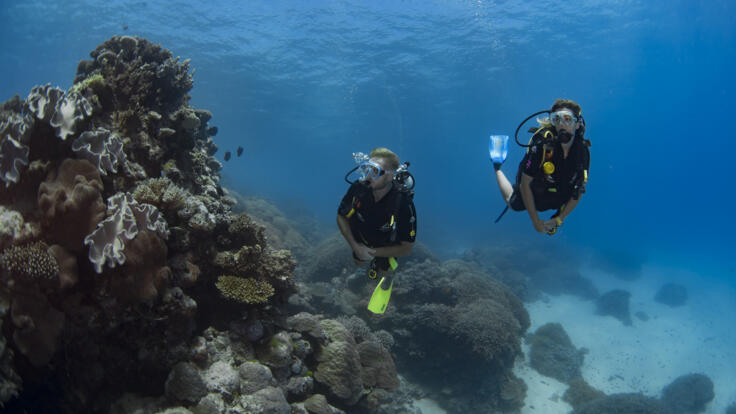Diving Cairns - Dive Trips Cairns