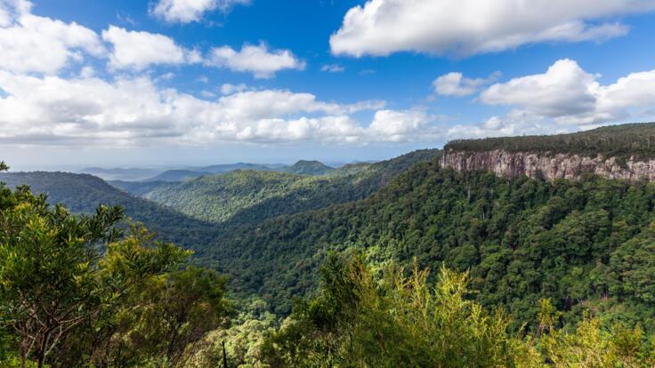 Lookout | Gold Coast Half Day Tour