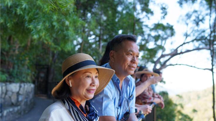 Lookout | Gold Coast Half Day Tour