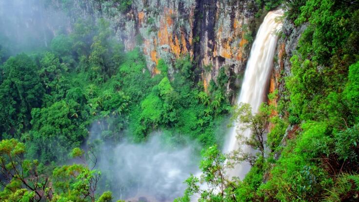 Purling Brook Falls | Springbrook National Park Tour Gold Coast
