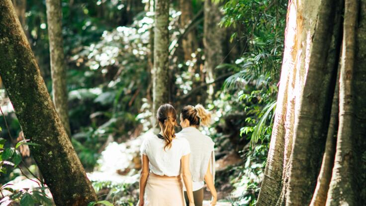 Gondwana Rainforest Walk|  National Park Tour Gold Coast