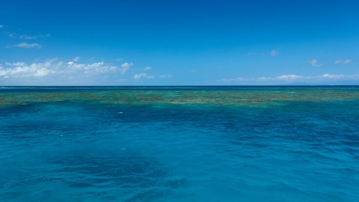 Great Barrier Reef - Moore Reef