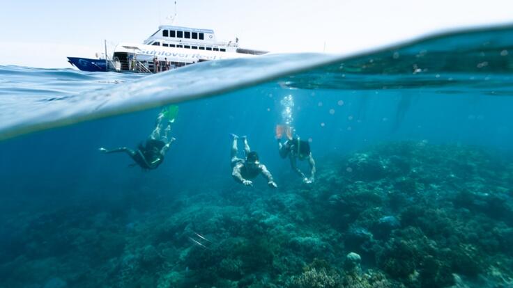 Great Barrier Reef Snorkelling Tours