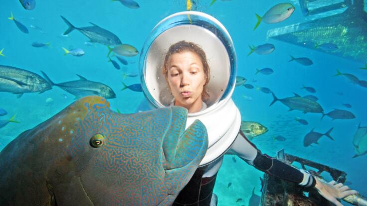 Great Barrier Reef Tours Cairns - Helmet Diving