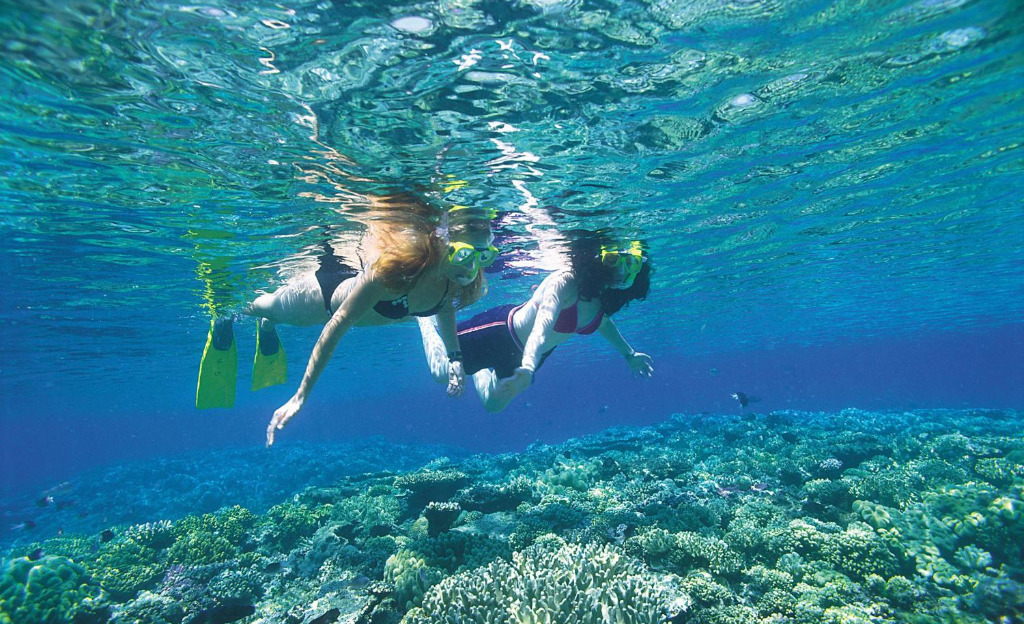 Great Barrier Reef Tours Cairns - Couple Snorkelling on the Great Barrier Reef - Cairns