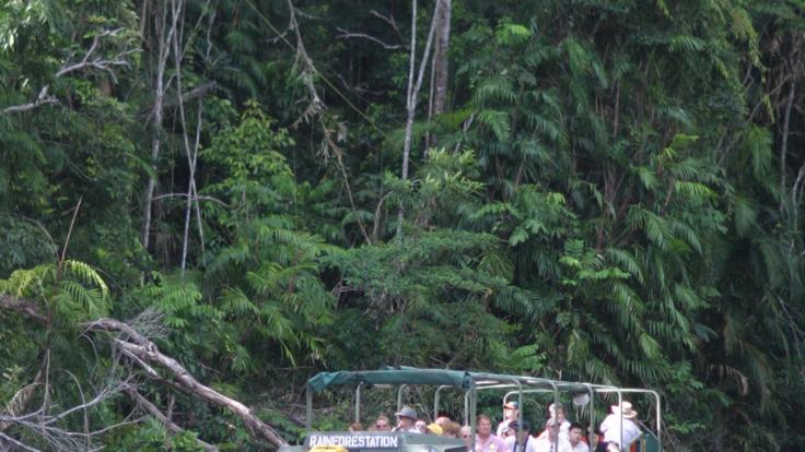 Kuranda Tours - World War 11 Army Duck Rainforest Tour Kuranda