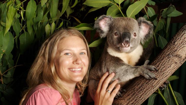 Cuddle a Koala in Kuranda