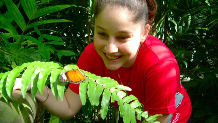 Visit the Butterfly Gardens in Kuranda