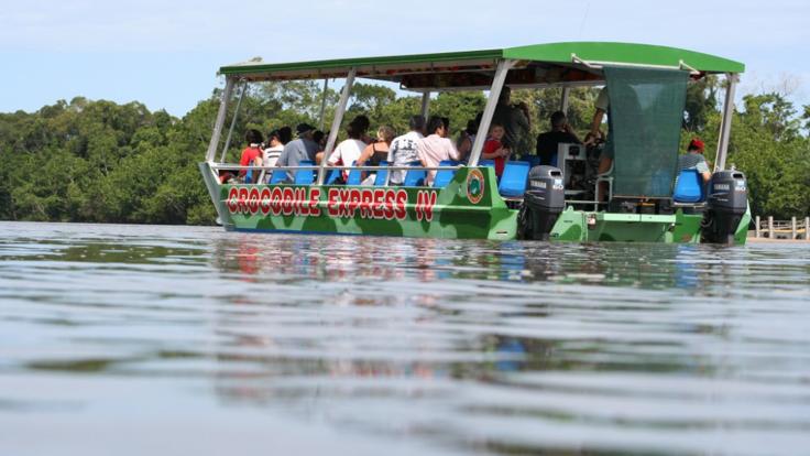Daintree River Cruise - see a crocodile in the wild 