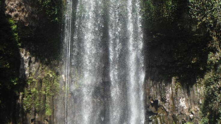 Cairns Rainforest Tours | Millaa Millaa Falls | Cairns Most Famous Waterfall