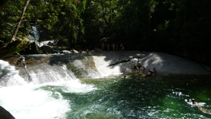 Josephine Falls - Cairns Rainforest Tours | Full Day Tour