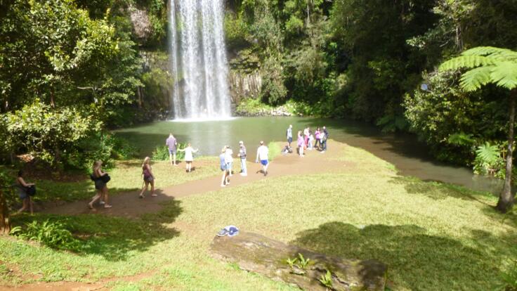 Cairns Rainforest Tours - Millaa Milla Falls