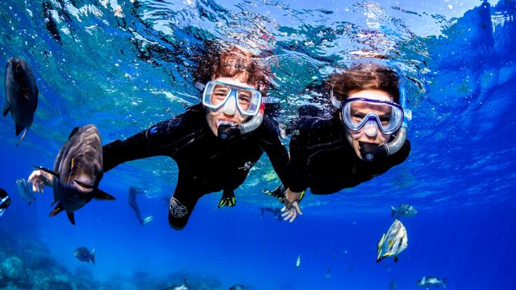 Great Barrier Reef Tours Cairns - Snorkelers