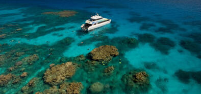 Cairns dive trips and snorkel tours