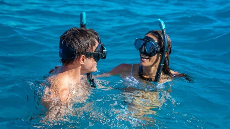 Cairns Half Day Snorkel & Dive Tour | Snorkel 