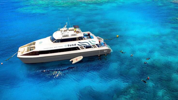 Cairns Half Day Snorkel & Dive Tour