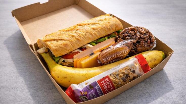 Cairns Half Day Snorkel & Dive Tour | Enjoy a boxed lunch on the cruise home