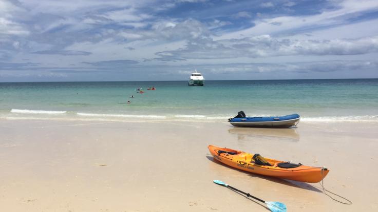 Fraser Island Half Day Beach Cruise | Kayaks, Swimming & Relaxing