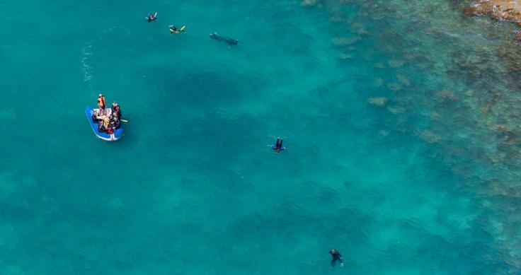 Snorkelling the Whitsundays - Barrier Reef Australia
