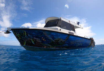 Charter Boat Whitsundays - Snorkelling Tours - Up to 10 guest snorkel only or 6 Intro divers or 8 Certified divers
