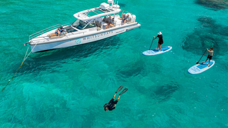 Stand up paddle board | Half Day or Full Day Whitehaven Beach Charter