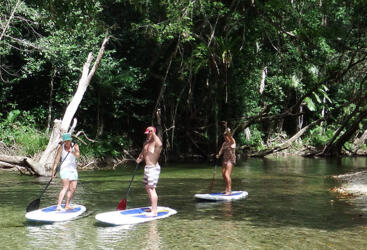 Port Dougals Stand Up Paddle Boarding Tours